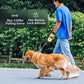 Retractable Dog Leash with One-Button Brake & Lock | 360° Tangle-Free Nylon Lead (Green)